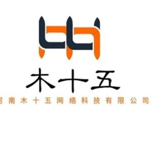 河南木十五網絡科技 技術驅動創新，引領數字化未來